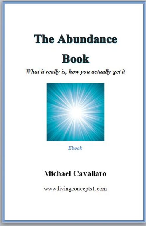 Product picture The Abundance Book